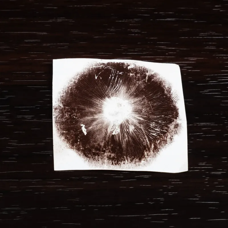 Spore Print